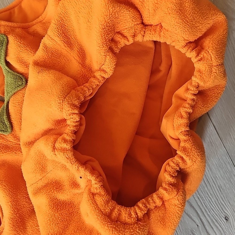 Pottery Barn Kids Jack O Lantern Pumpkin Costume, 2T - 3T‎ - Picture 8 of 12